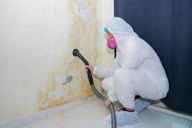 Best Asbestos and Lead Testing During Mold Inspection in USA